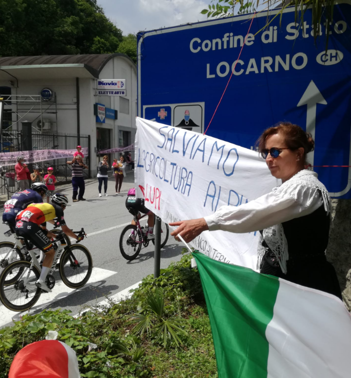 Gestione lupo, allevatori del Vco e svizzeri hanno manifestato al Giro d'Italia