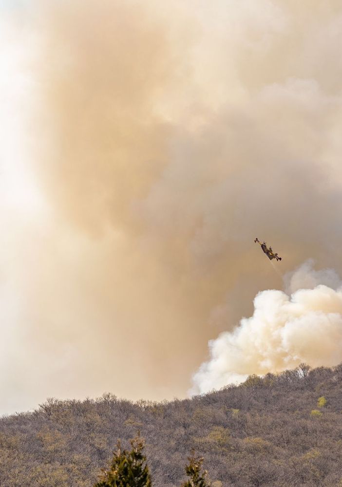 Uncem: “Prevenzione incendi si fa con gestione attiva delle foreste secondo strategia nazionale”