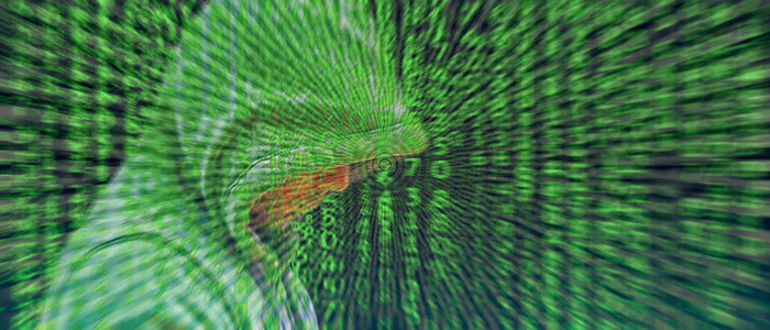 Intelligence italiana, al via il reclutamento: si cercano nuovi 007 Intelligence italiana, al via il reclutamento: si cercano nuovi 007