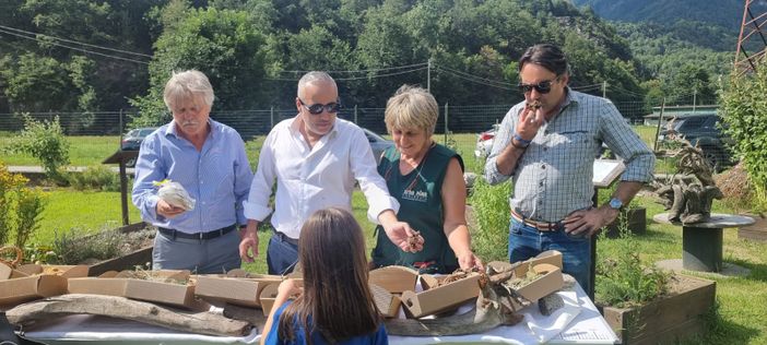Visite alle aziende ossolane per il vice presidente regionale Carosso Visite alle aziende ossolane per il vice presidente regionale Carosso