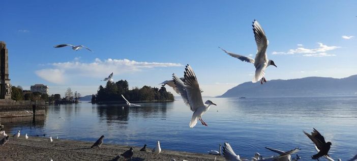 Pochissima pioggia prevista, rischio siccità per tutto febbraio