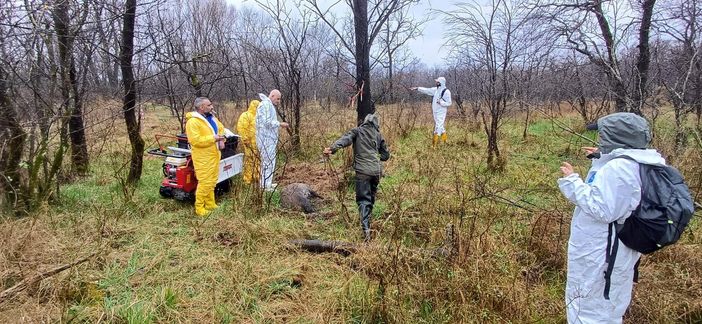 Volontari cercasi: l’Ente Parchi forma operatori per il controllo del cinghiale