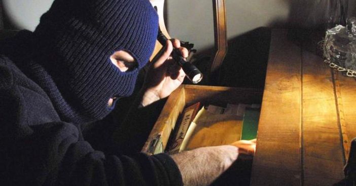 Tempo di vacanze, ma anche di topi d'appartamento: cosa fare e non fare prima di partire