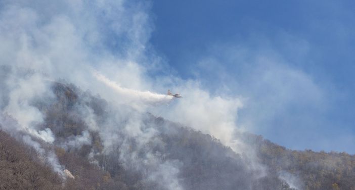 Continuano a bruciare i boschi in Cannobina FOTO E VIDEO Continuano a bruciare i boschi in Cannobina FOTO E VIDEO