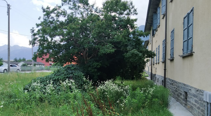“Erba e piante fuori controllo”, protestano i residenti del Villaggio