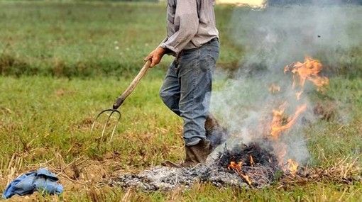 La richiesta di Confagricoltura Piemonte: “Rinviare il divieto di abbruciamento”