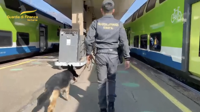 Trasportava ovuli di cocaina verso la Svizzera: arrestata dalla guardia di finanza Trasportava ovuli di cocaina verso la Svizzera: arrestata dalla guardia di finanza