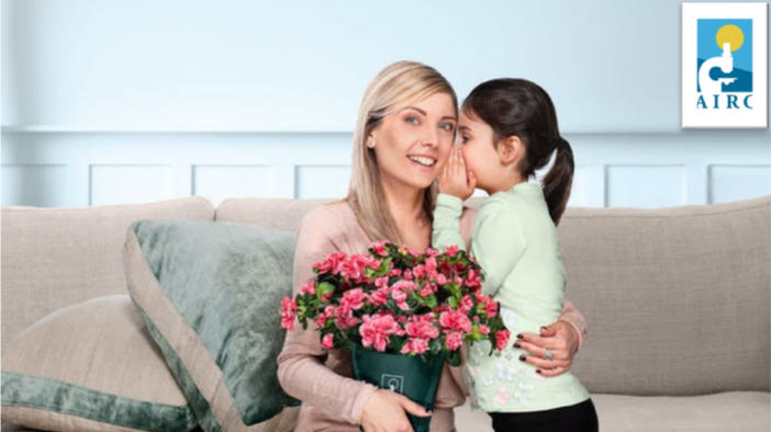 Nelle piazze del Vco l'azalea della ricerca di Airc