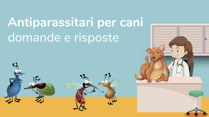 Come rimuovere le zecche dal cane Come rimuovere le zecche dal cane