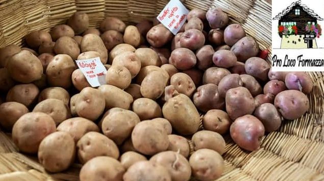 Slitta al 9 ottobre la Walser Häpfla Fest