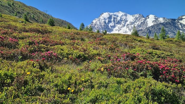 Dal ministero 800 mila euro per valorizzare il Sentiero Italia Cai in Piemonte