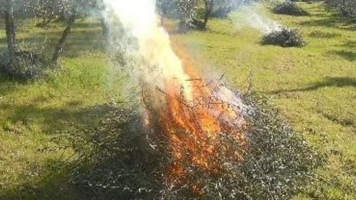 Qualità dell'aria, le indicazioni per concimazioni e abbruciamenti Qualità dell'aria, le indicazioni per concimazioni e abbruciamenti