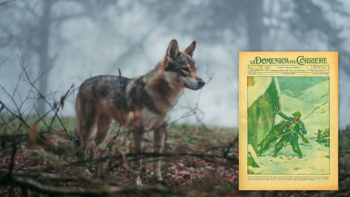 Nel riquadro la copertina della Domenica del Corriere del 30 gennaio 1927 Nel riquadro la copertina della Domenica del Corriere del 30 gennaio 1927