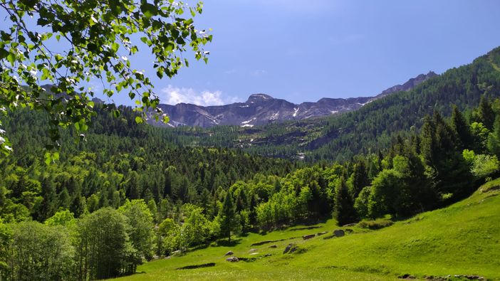 Si tiene in Slovenia l'edizione 2024 di ForumAlpinum