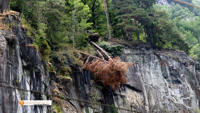 ''Le Ferrovie dovrebbero avere più attenzione per la stazione di Iselle''   FOTO