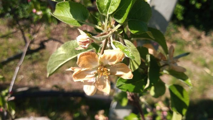 ''Danni ingenti, serve lo stato di calamità e un sostegno per le imprese" ''Danni ingenti, serve lo stato di calamità e un sostegno per le imprese"