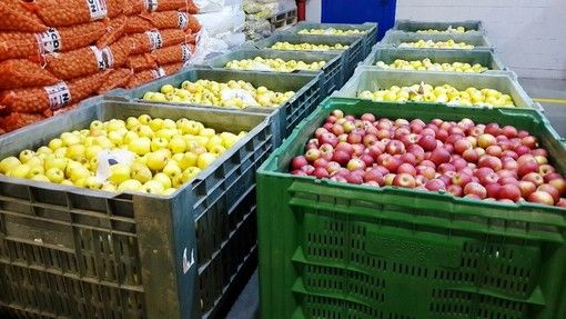 Annata agraria, Carenini (Cia): &quot;Cresce il brand dell'agroalimentare piemontese, servono garanzie di sostenibilità&quot;