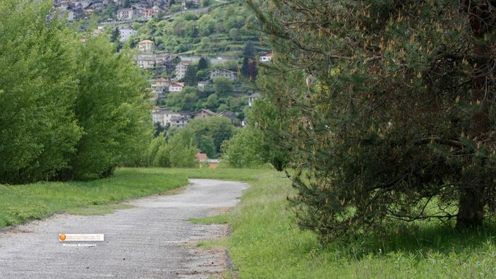 Sulla collina dello sport il Campionato regionale a staffetta