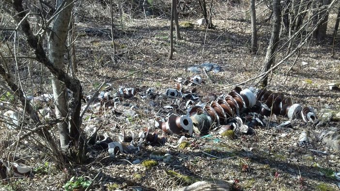Ambiente, sabato 18 aprile è la giornata 'Plastic Free'