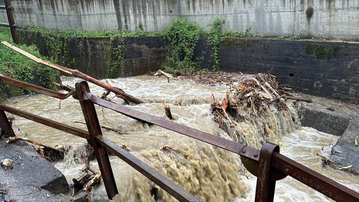 Maltempo, danni all'agricoltura in Piemonte: l'assessore Marnati incontra l'Aipo Maltempo, danni all'agricoltura in Piemonte: l'assessore Marnati incontra l'Aipo