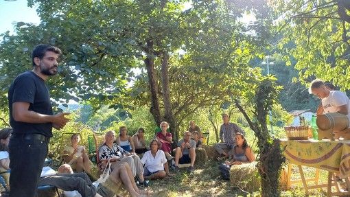 La rivoluzione del filo di paglia