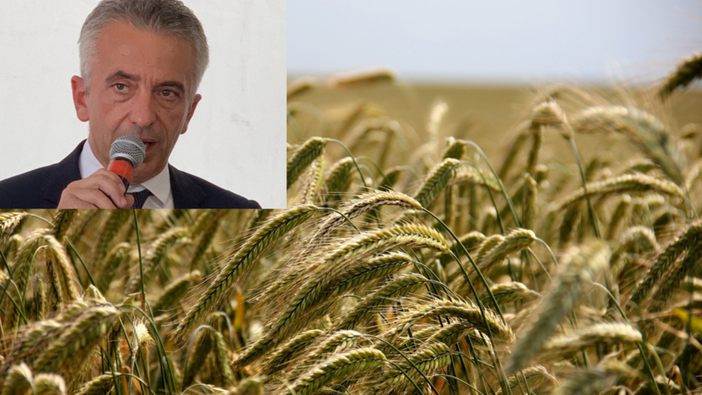 Sviluppo rurale: 20 milioni di euro per le aziende agricole piemontesi