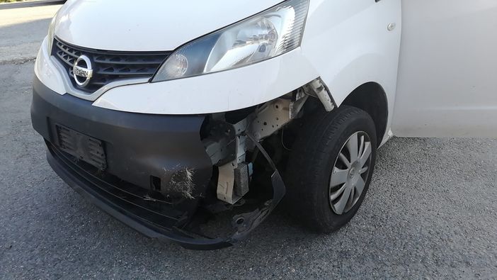 Cervo investito a Bieno, nell'incidente coinvolti un'auto e un furgone