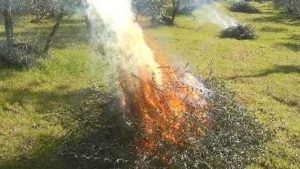 Piano straordinario qualità aria, Coldiretti: “Consentire deroghe agli abbruciamenti” Piano straordinario qualità aria, Coldiretti: “Consentire deroghe agli abbruciamenti”