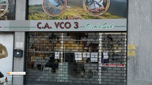 Assolti ex presidente e dipendente del comprensorio caccia Vco3