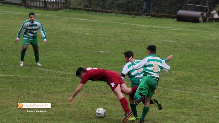 Piccinini: ''Un buon campionato: i numeri parlano''