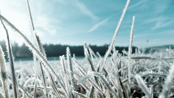 Raccolti distrutti dalle gelate, gli agricoltori piemontesi chiedono lo stato di calamità naturale Raccolti distrutti dalle gelate, gli agricoltori piemontesi chiedono lo stato di calamità naturale
