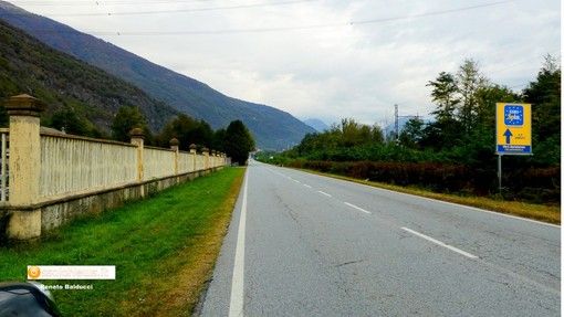 Investe una cerva, danni ingenti all'auto