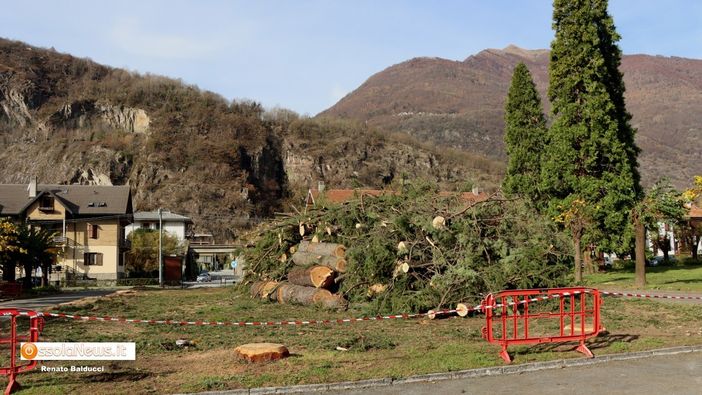 Piazza Lecomte nel novembre 2020, dopo il taglio degli alberi pericolanti