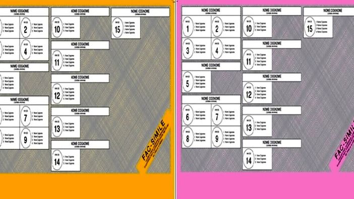 Voto al Senato: Montescheno e Vogogna 'mosche bianche' in mano al Pd