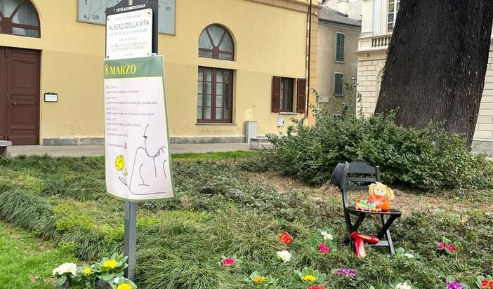 Primule sotto l'Albero della Vita, iniziativa della Pro Loco per l'8 Marzo