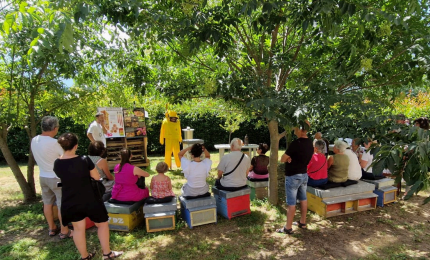 Un pomeriggio dalla scoperta dell'apicoltura per l'Alzheimer Caffè dell'Ossola