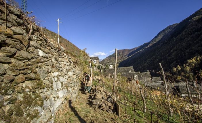 I nuovi agricoltori dei parchi ossolani I nuovi agricoltori dei parchi ossolani