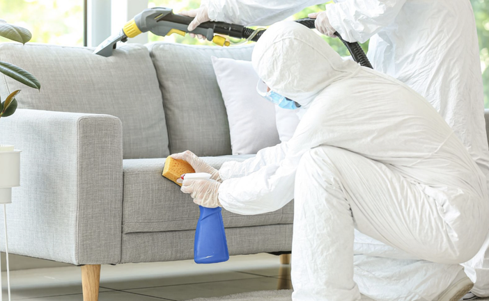 Disinfestazioni bed and breakfast Disinfestazioni bed and breakfast