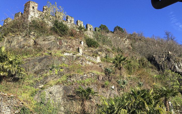 Sarà presentato a Vogogna il progetto di restauro del giardino verticale di Villa Biraghi.