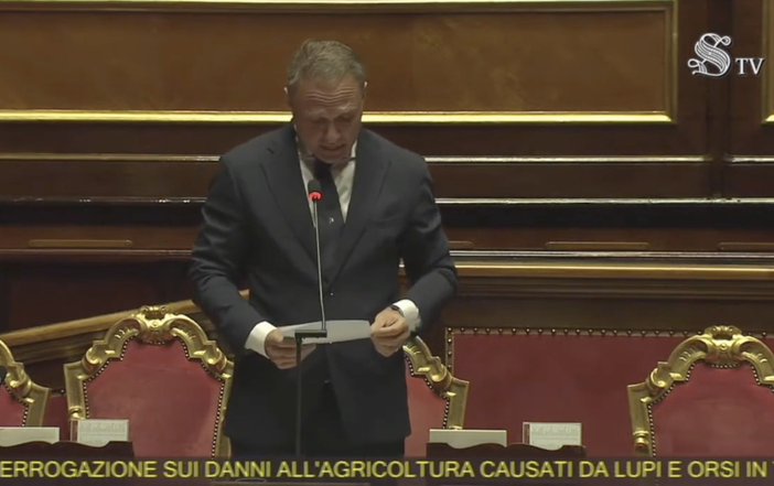 Contenimento dei lupi, il sindaco di Malesco: “Finalmente qualcosa sembra muoversi”