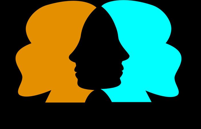 Consulta femminile, approvate modifiche al regolamento Consulta femminile, approvate modifiche al regolamento