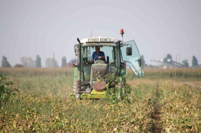 In arrivo 26 milioni di euro per l’agricoltura piemontese