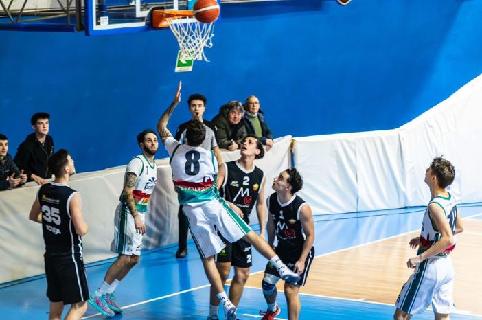 AutoTrasporti Sacchi Foma e Findomo tornano in campo: voglia di riscatto e punti pesanti in palio AutoTrasporti Sacchi Foma e Findomo tornano in campo: voglia di riscatto e punti pesanti in palio