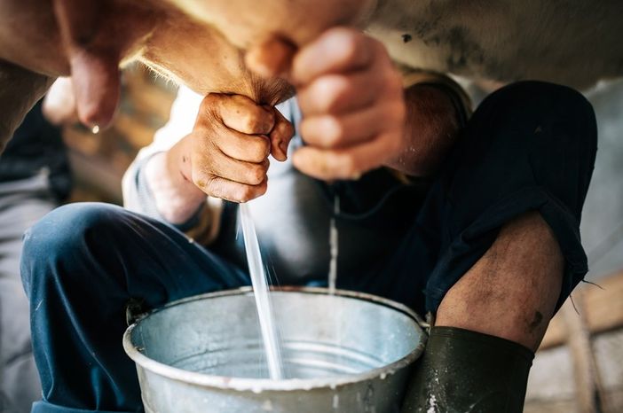 Tavolo del latte, le aziende agricole chiedono risposte urgenti