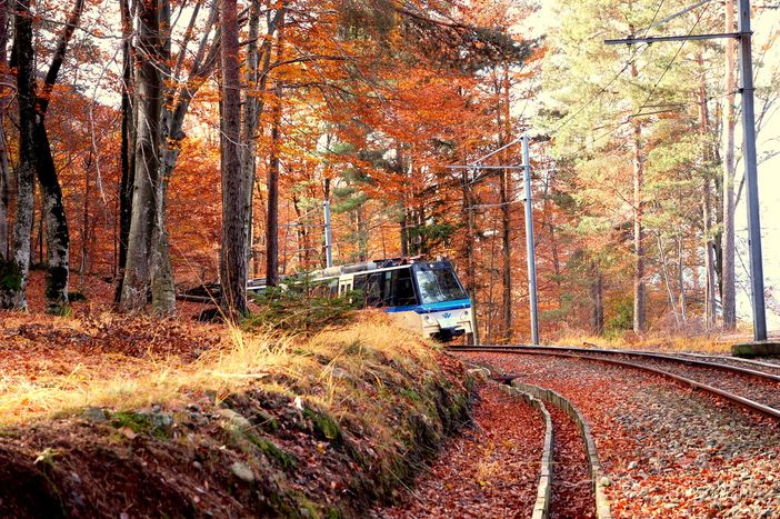 L'autunno continua a splendere in Valle con la Ferrovia Vigezzina
