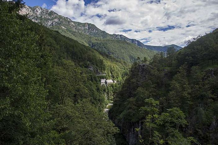 Trasformazione del bosco: la giunta abbassa a 10.000 euro l’importo base per il calcolo della compensazione Trasformazione del bosco: la giunta abbassa a 10.000 euro l’importo base per il calcolo della compensazione