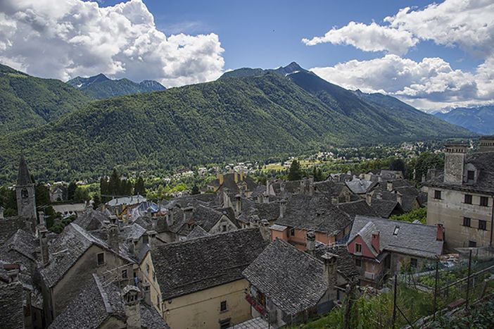 La Scuola Primaria di Craveggia scelta per accogliere i semi del ficus di Giovanni Falcone