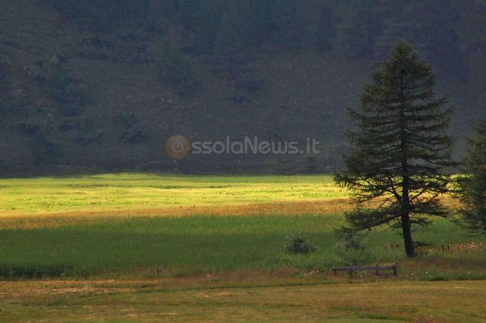 Con Casacomune e Cai esplorazioni e dialoghi all'Alpe Devero