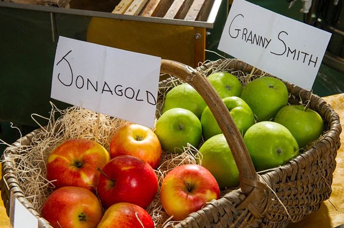 Confagricoltura Piemonte: "Uno studio statunitense rivela che chi mangia mele diventa intelligente"