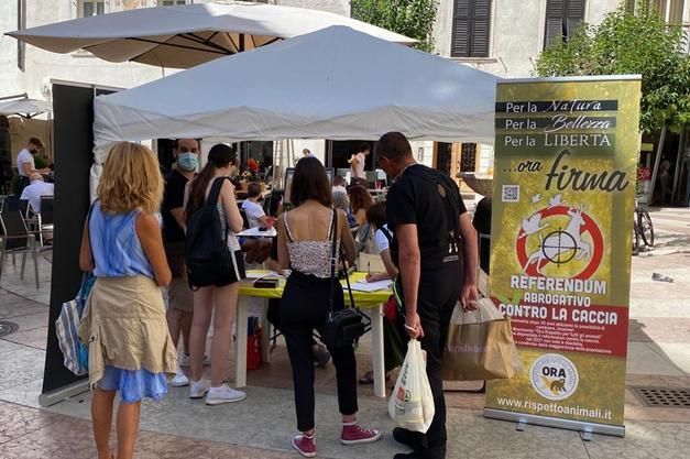 “Un milione di firme per abolire o limitare la caccia in Italia” “Un milione di firme per abolire o limitare la caccia in Italia”